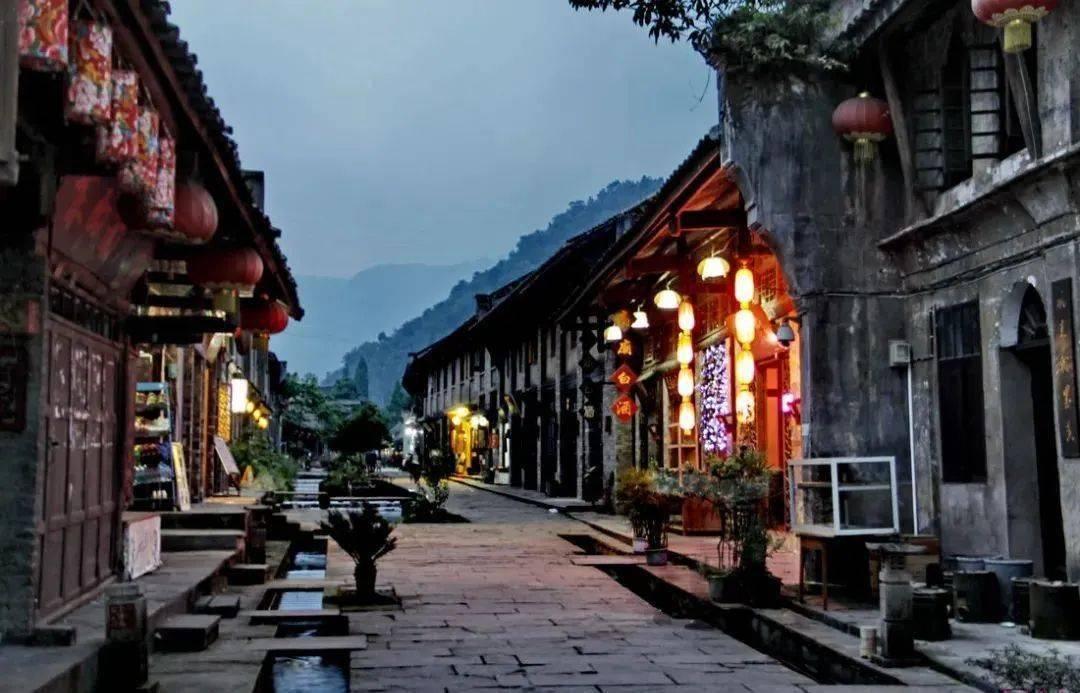 探秘客厅养盆琴叶榕,高雅大气还净化空气,如何养?- 专注于问答交流的平台